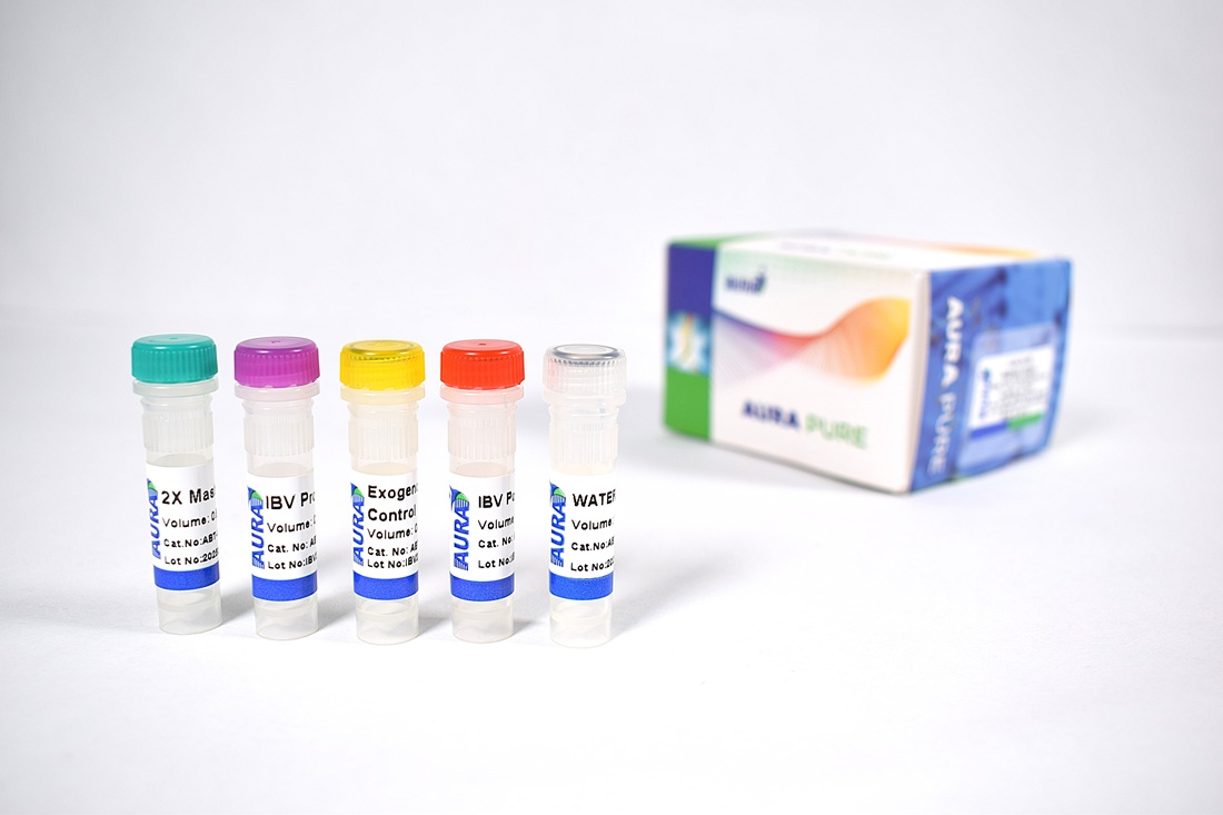 Infectious Bronchitis Virus